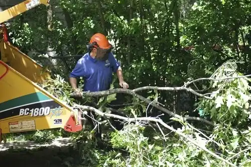 tree services Leawood